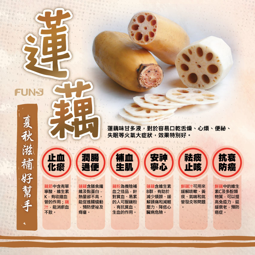 夏秋滋補好幫手，蓮藕好處有止血化瘀，有收縮血管作用，潤腸通便，能促進腸胃蠕動，補血生肌，有抗貧血和生血作用，安神寧心，減輕壓力、降低心臟病風險，化痰止咳，抗衰防癌，提高免疫力。