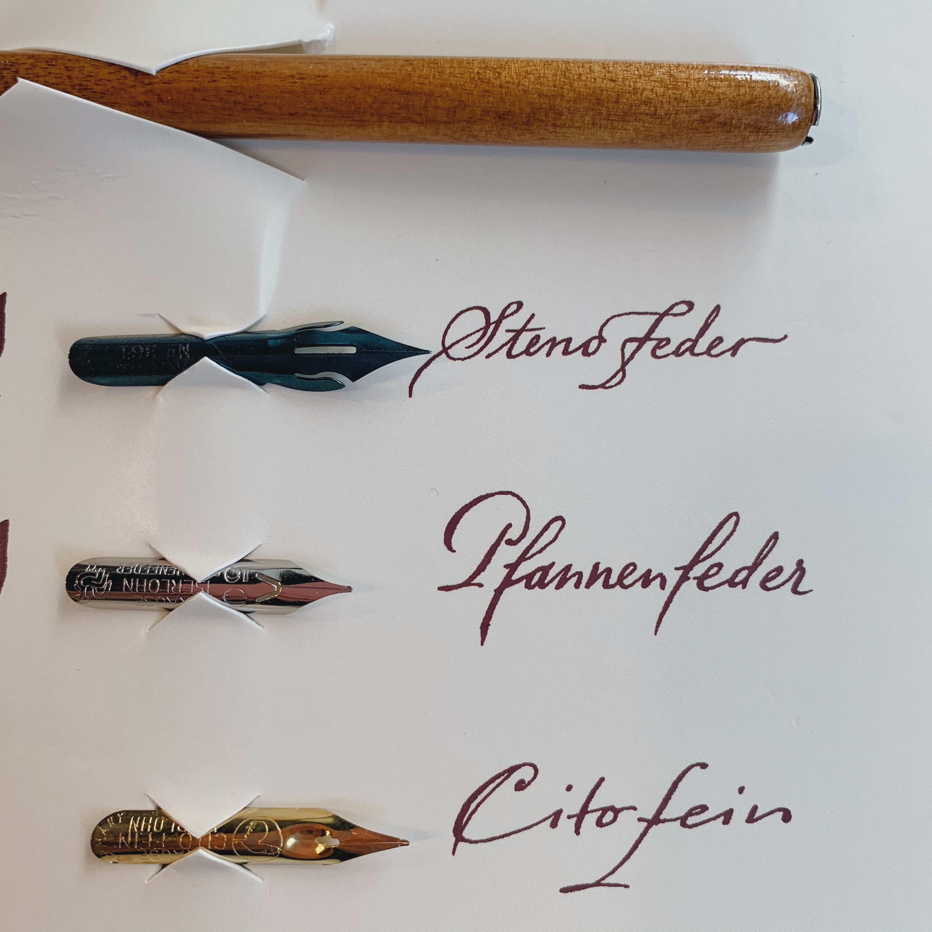 德國 Brause 進階英文書法套組 沾水筆／沾水筆筆尖