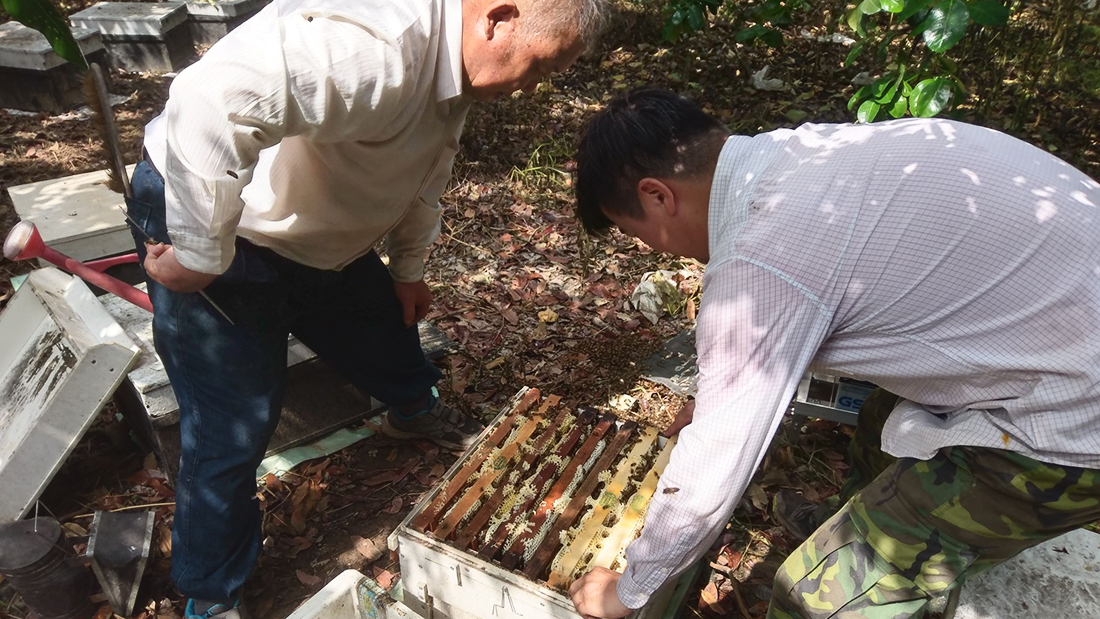 龍眼蜜與荔枝蜜在台灣占據了大部分的蜂蜜市場，身為最受台灣人喜愛的龍眼蜜，也是蜜種中氣味最為濃厚、甜度最為明顯的，但你知道龍眼蜜的產地在哪裡嗎?

隨著溫度變化，龍眼花的花期通常在三到五月的春天開花，從三月的高雄、台南開至四五月的中部地區，逐花而居的蜂農需要將蜜蜂們放置於乾淨無農藥殘留的環境，如果遇上天氣異常或是氣溫擾亂種種因素影響，辛辛苦苦的勞動成果可能就會一無所獲了，沒有想到生活中隨處可見的蜂蜜如此得來不易吧? | 蜂樺蜂蜜專賣店