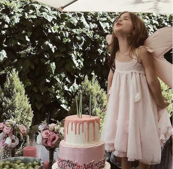 Pinky Butterfly Dress