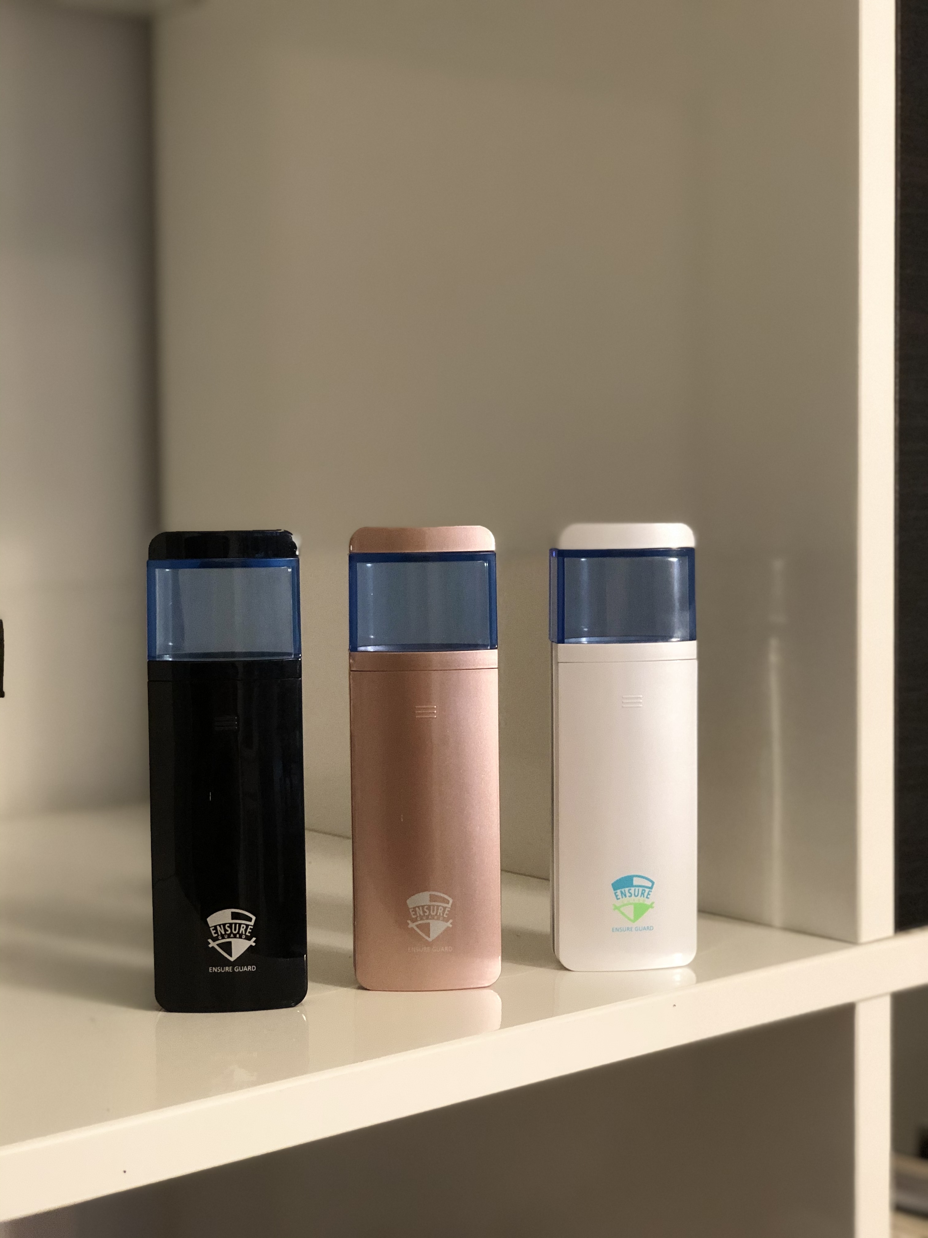 Ensure Guard Handy Mister with one 100ml refill (Gift set)