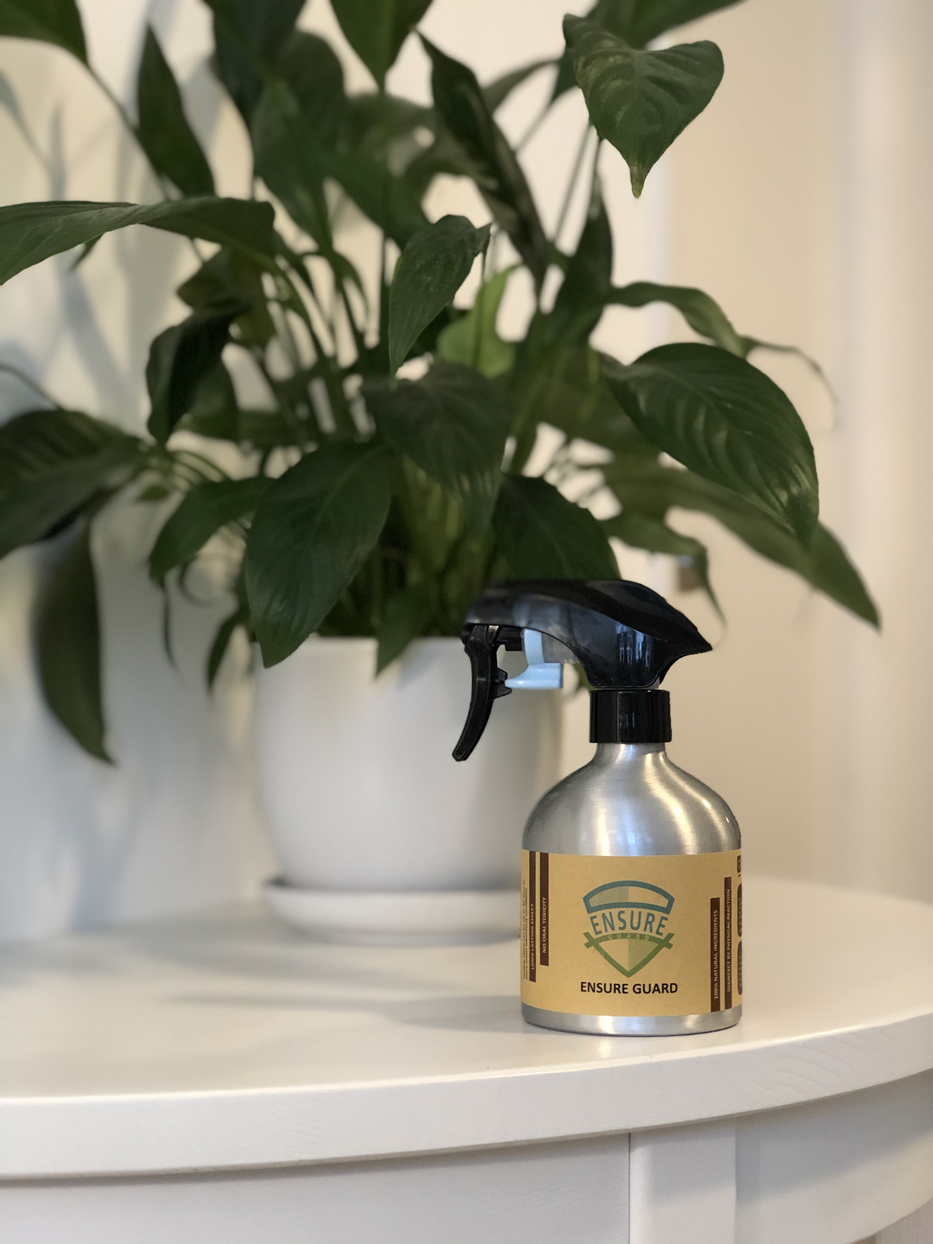 Ensure Guard Sanitization Shield - 280ml