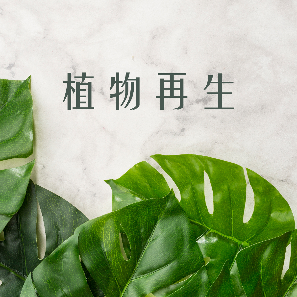 植物再生