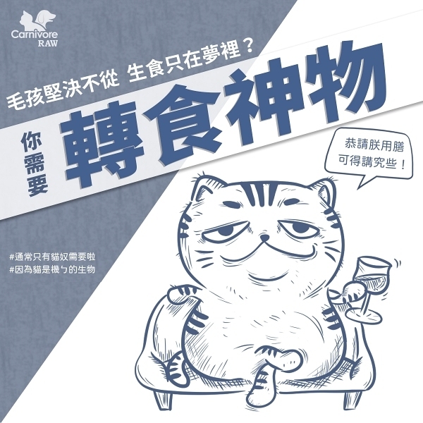 貓生食,轉食,誘食