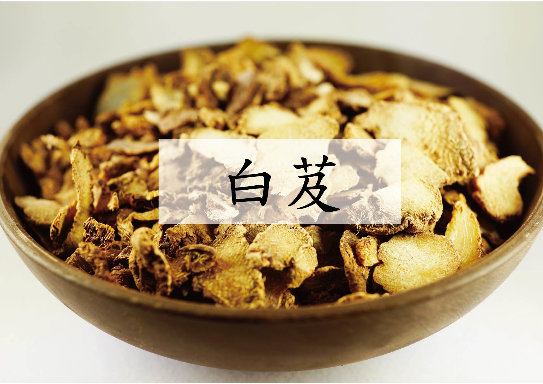 Bletilla striata (白芨)