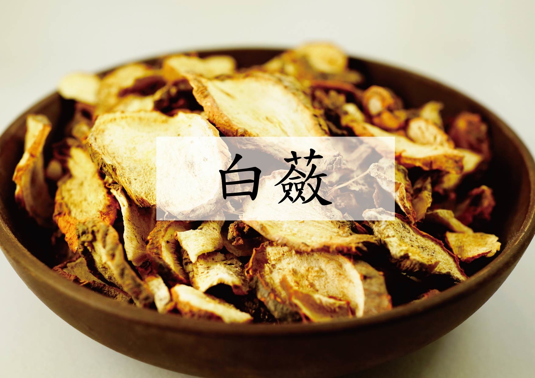 Japanese Ampelopsis (白蘞)