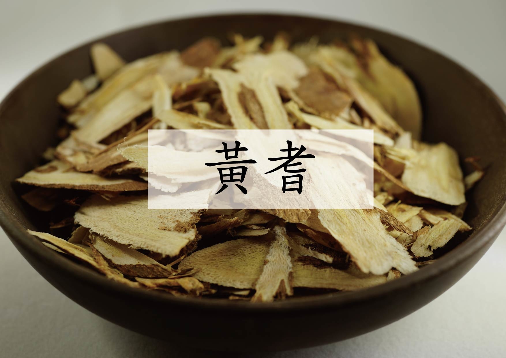 Astragalus membranaceus (黃耆)