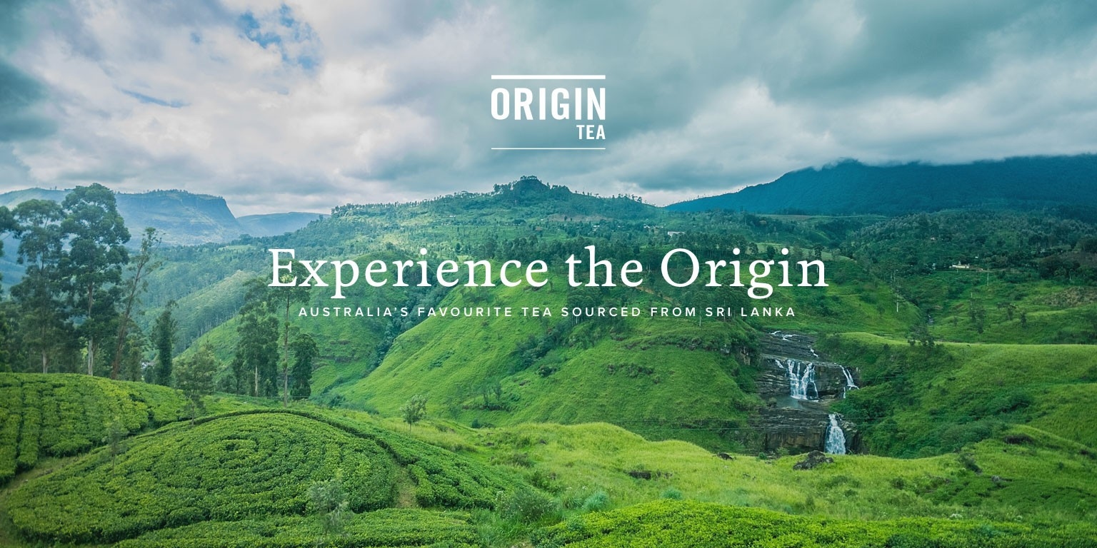 Origin Tea,tea,loose leaf,loose tea,sri lanka,australia,茶,茶葉,錫蘭,紅茶,斯里蘭卡,澳洲,natural ponti,ponti wine cellars,ponti trading