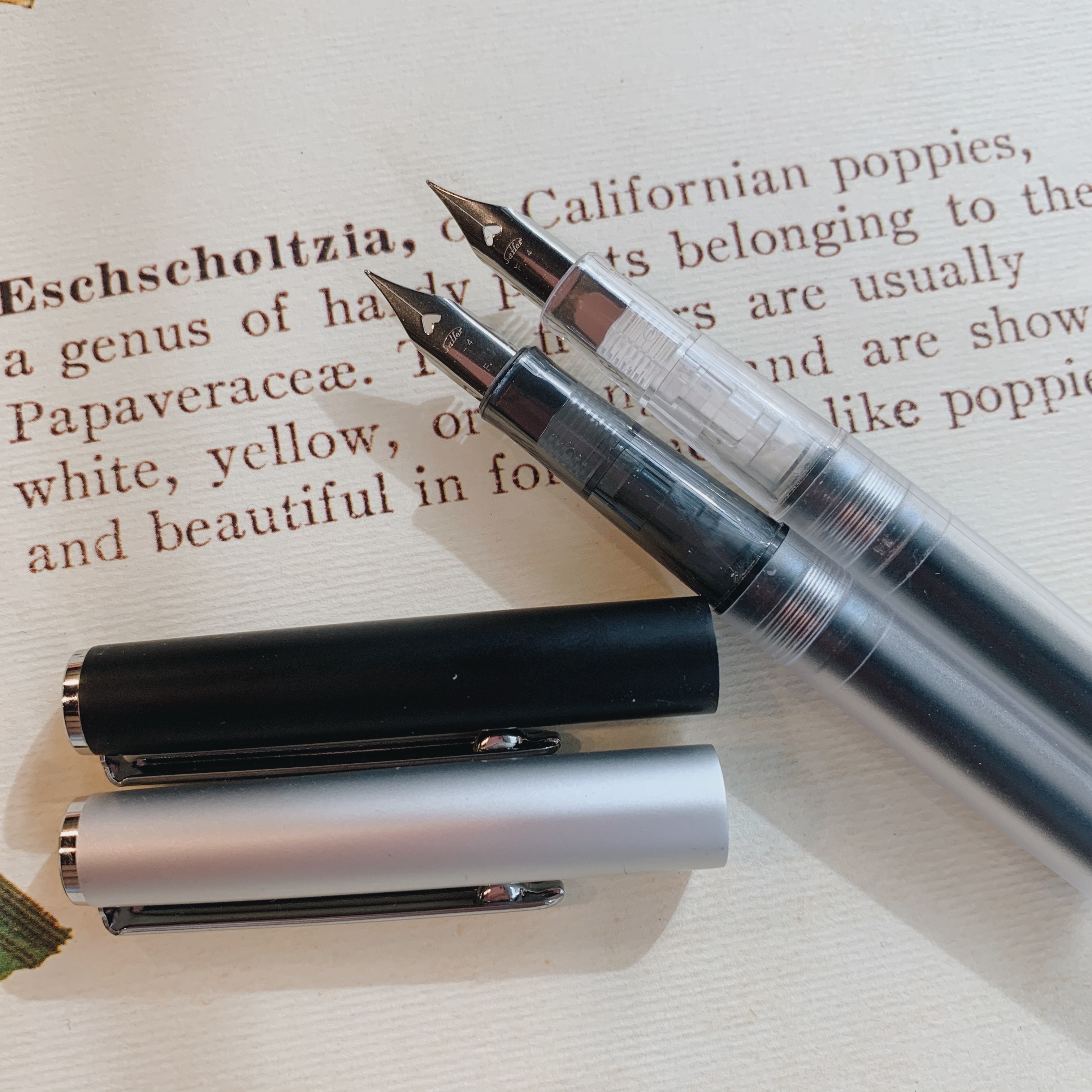 寫樂 ACE 透明桿鋼筆