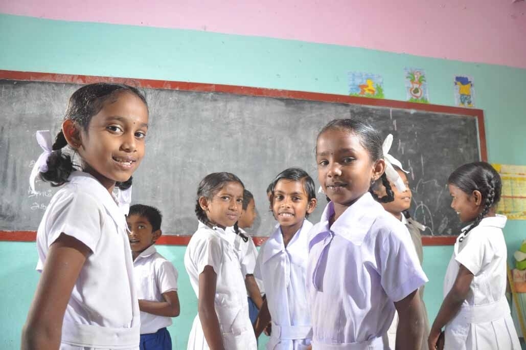 Origin Tea,tea,loose leaf,loose tea,sri lanka,australia,茶,茶葉,錫蘭,紅茶,斯里蘭卡,澳洲,natural ponti,ponti wine cellars,ponti trading