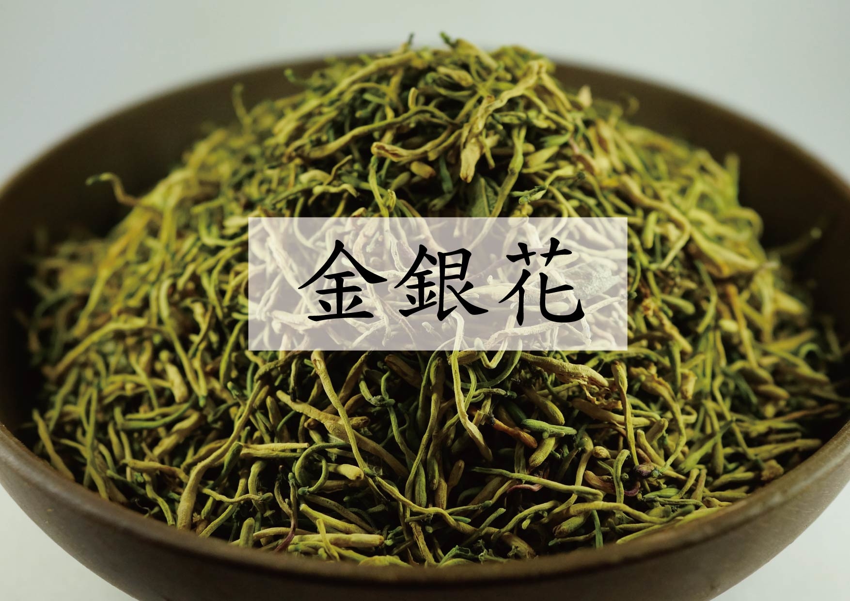 Japanese Honeysuckle (金銀花)