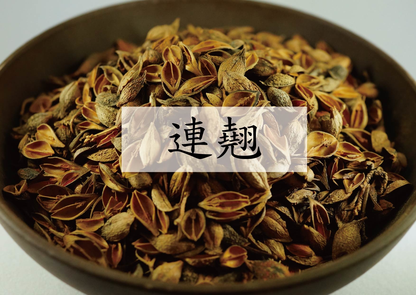 Weeping Forsythia (連翹)