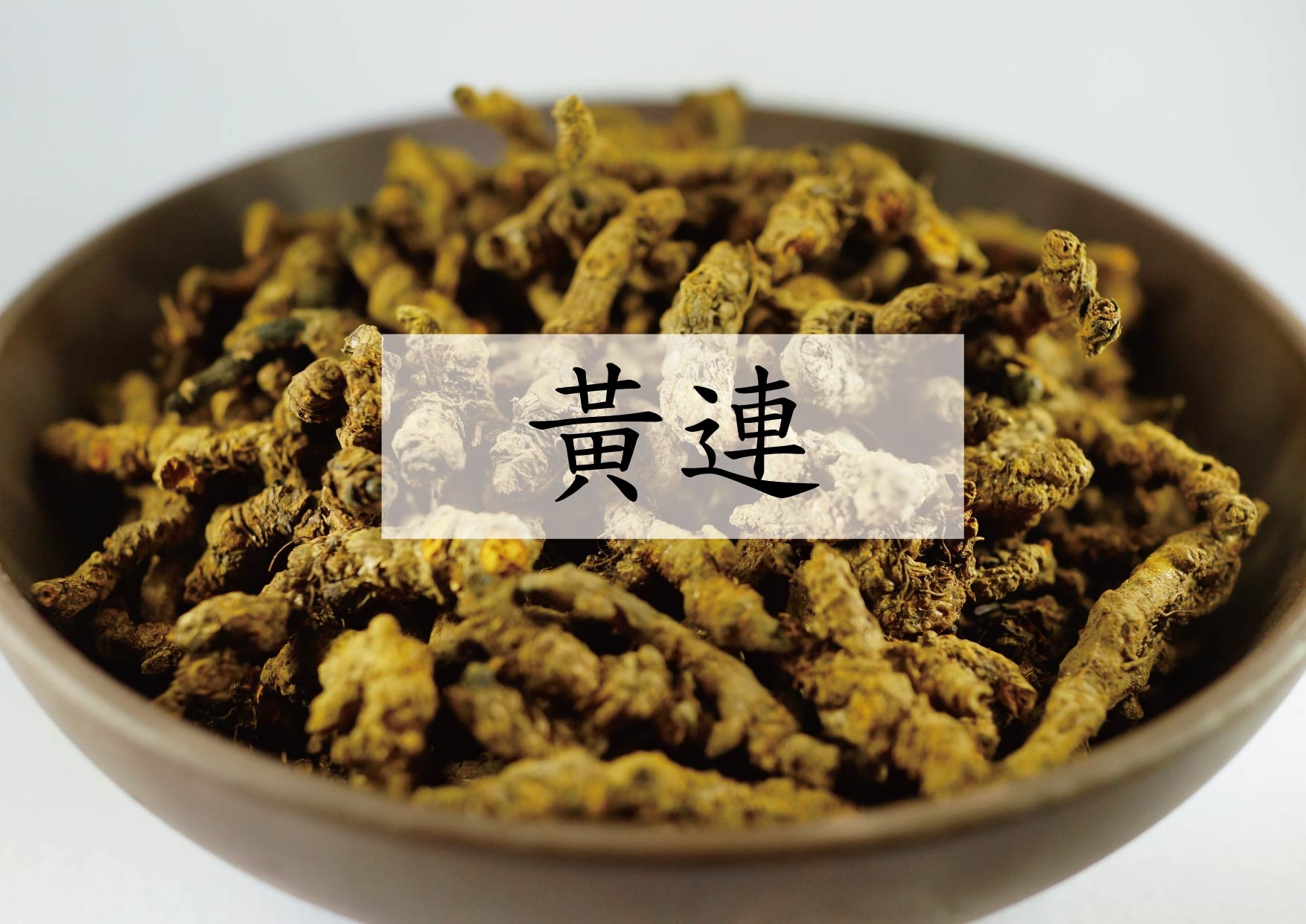 Chinese Goldthread Rhizome (黃連)