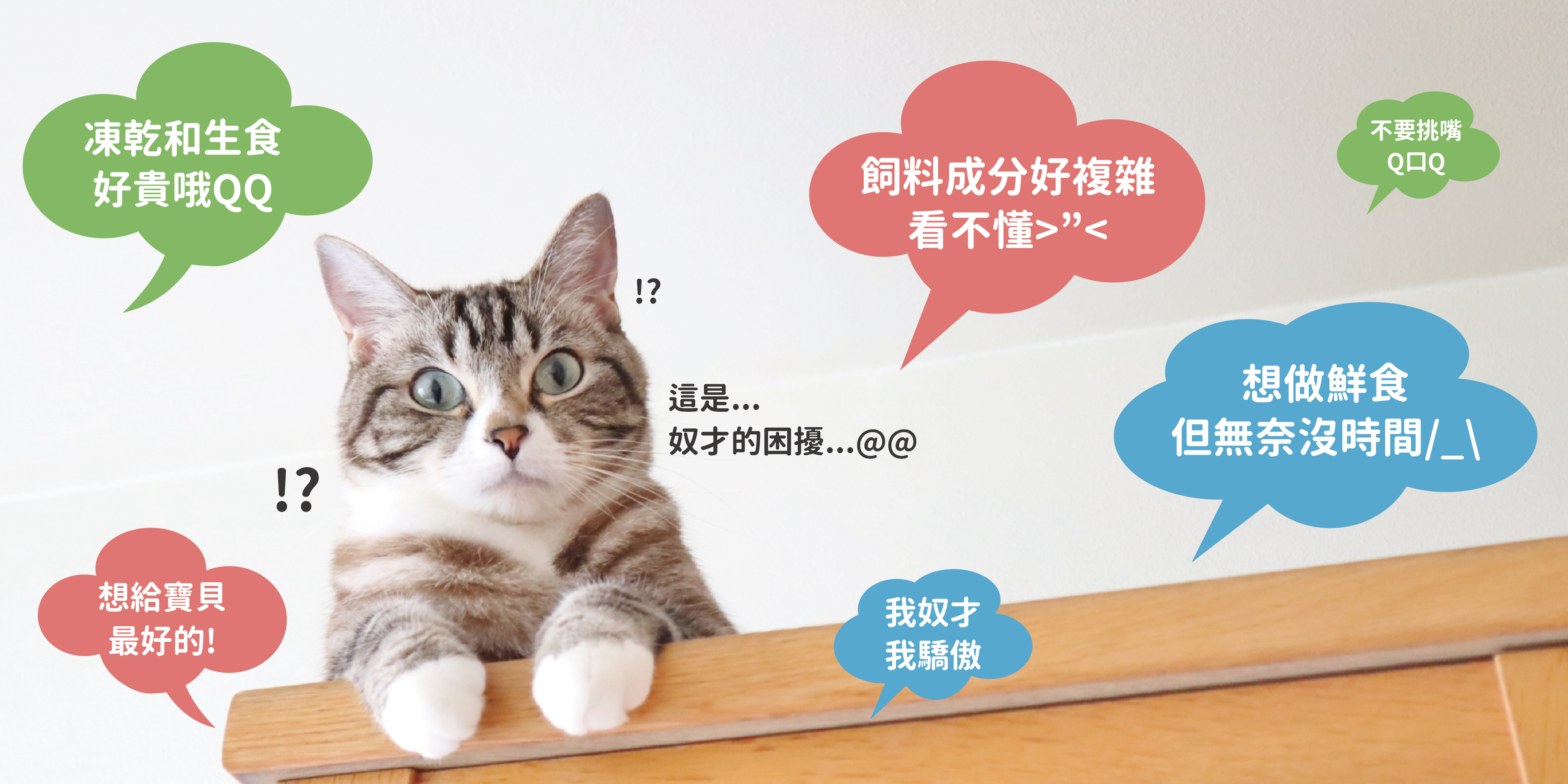 飼料成分看不懂？想做鮮食卻沒有時間？凍乾是不是太貴？