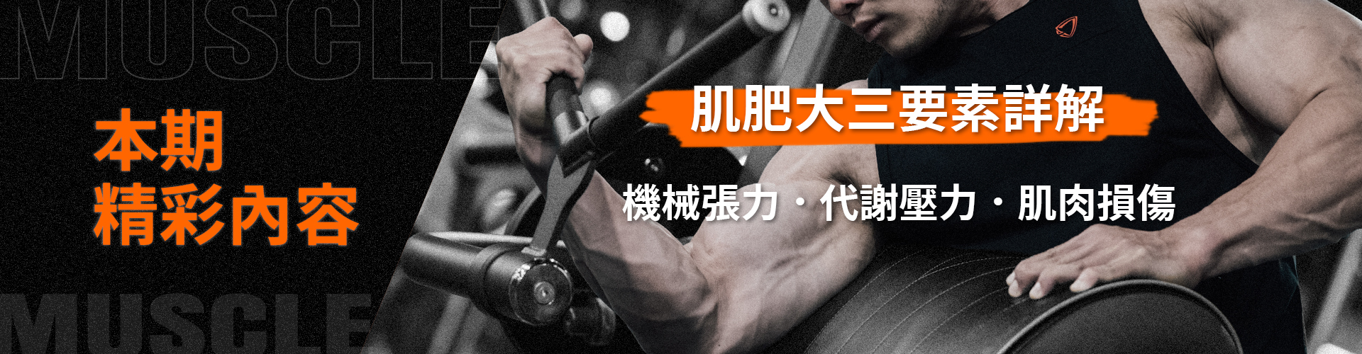 肌肥大三要素,機械張力 代謝壓力 肌肉損傷