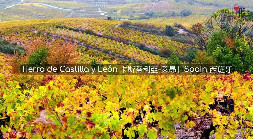 tierra castilla y leon, 卡斯蒂利亞-萊昂