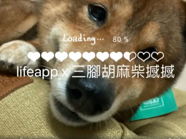 三腳胡麻柴撼撼