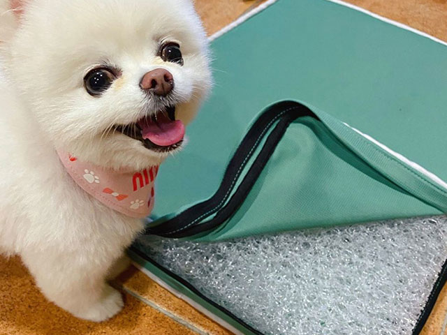 小雲朵兒Ninky博美撒嬌日記-LIFEAPP經典透氣睡墊