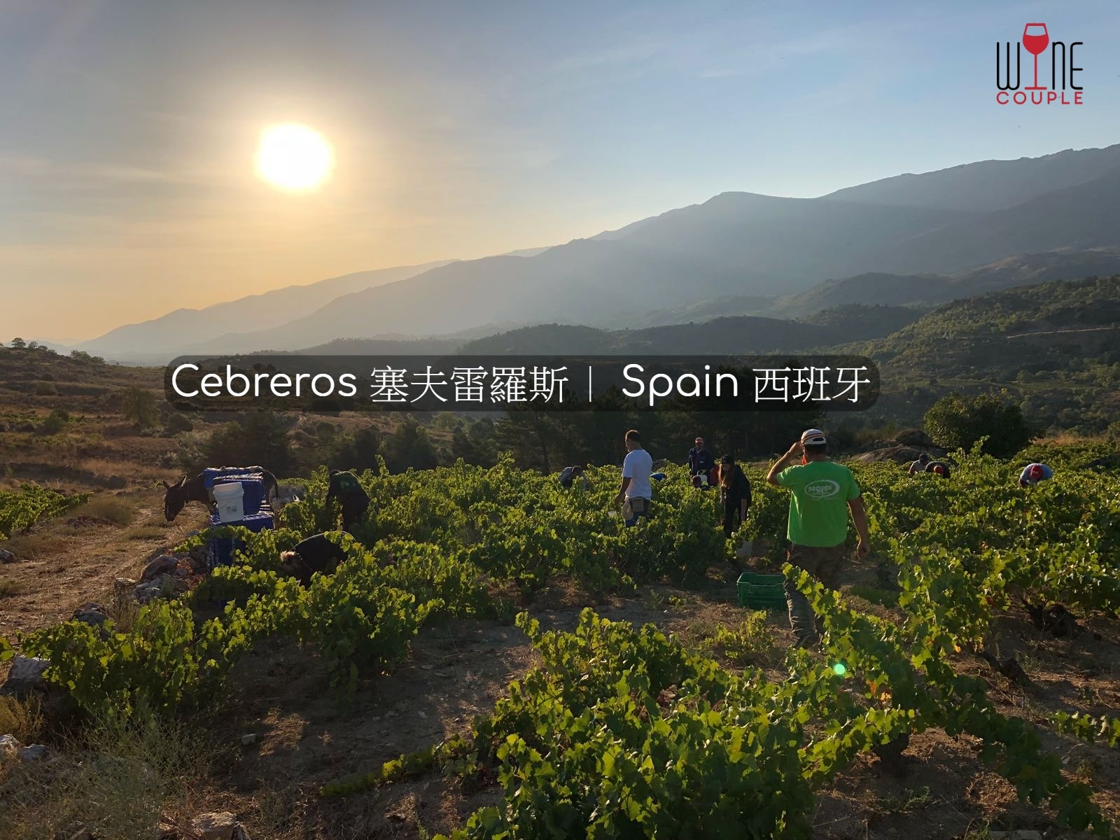 Cebreros, 塞夫雷羅斯