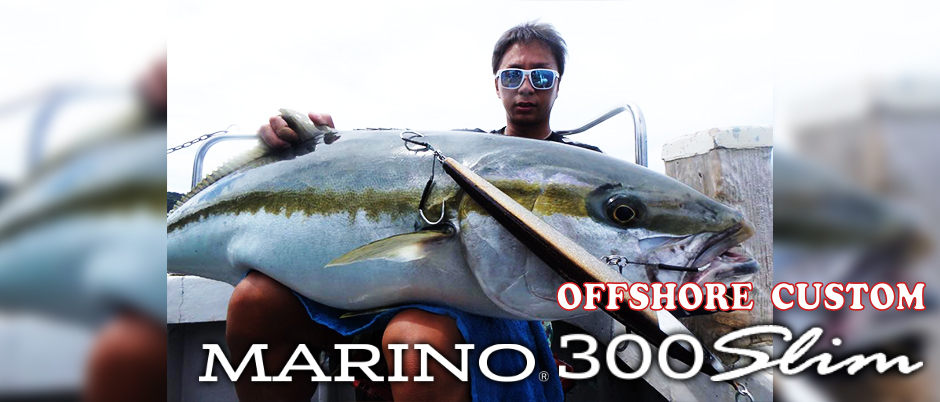 D-CLAW MARINO 300 SLIM CASTING STICK BAIT