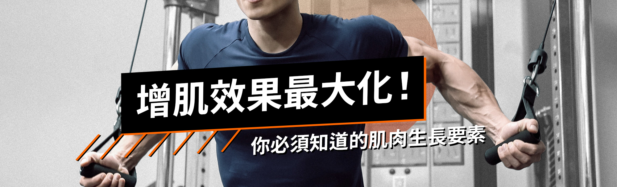增肌效果最大化!你必須知道的肌肉生長要素