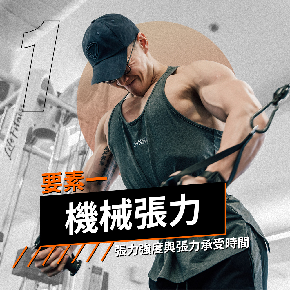 肌肥大要素,機械張力