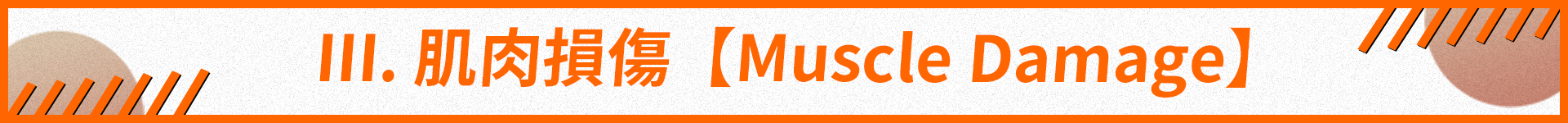 肌肉損傷
