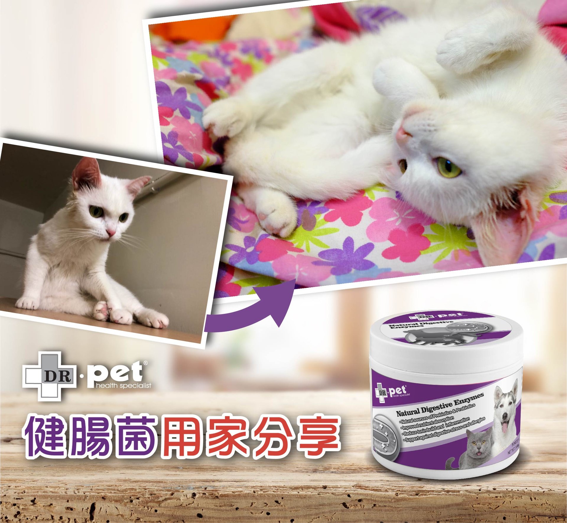 DR. pet 健腸菌 144g