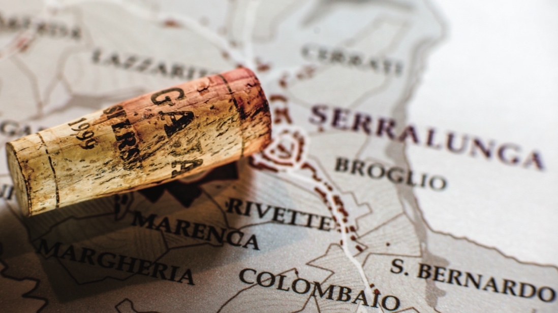 Angelo Gaja, barbaresco, italy