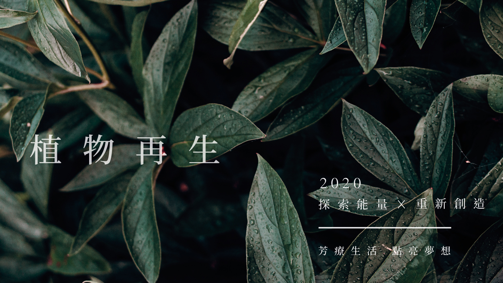 植物再生,精油