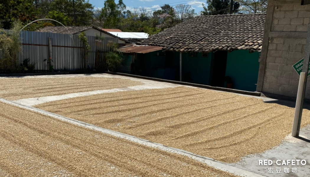 處理法介紹 - 什麼是日曬法?