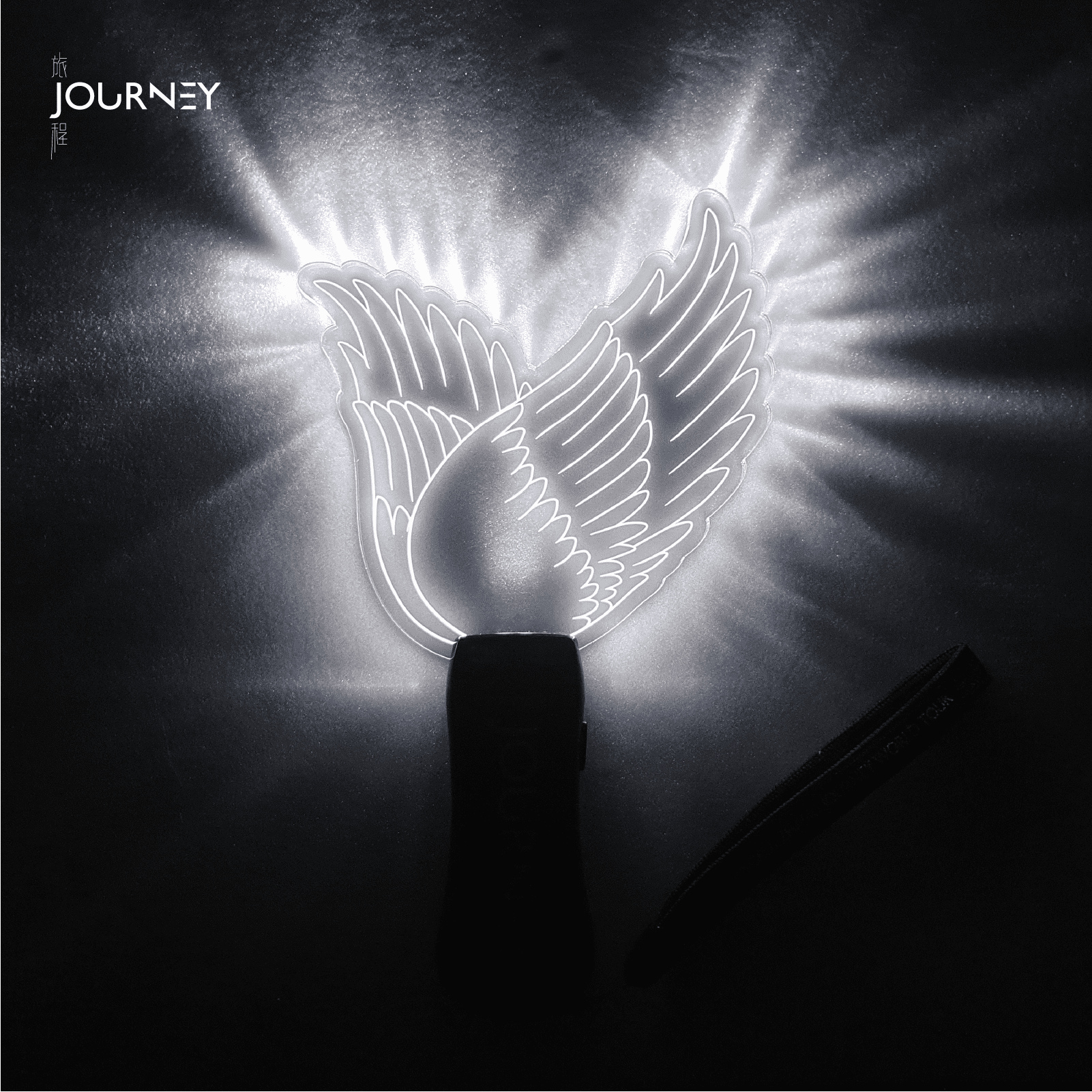 張韶涵 旅程 應援翅膀手燈