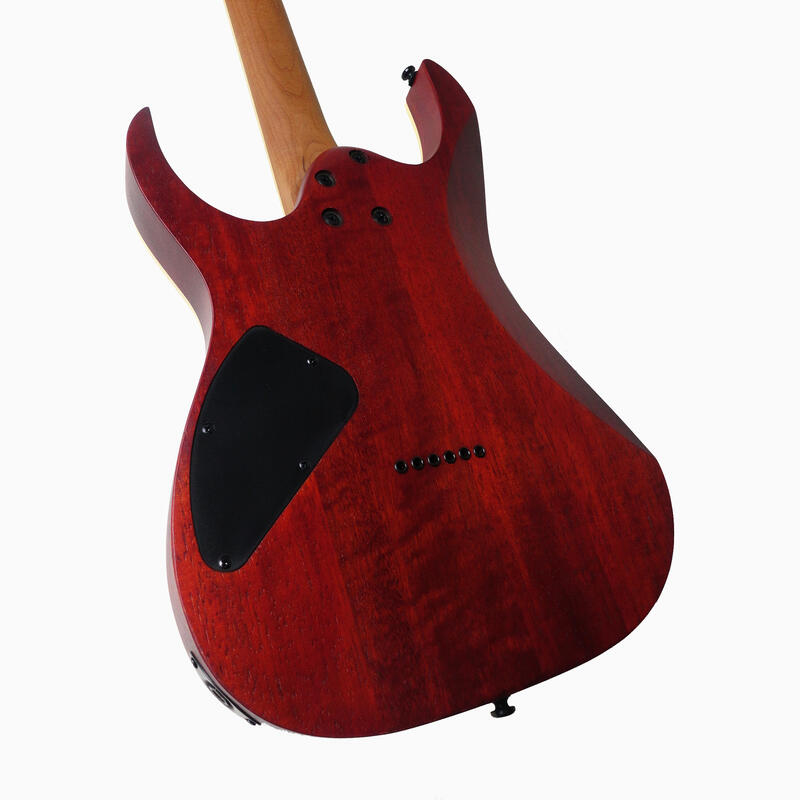 Ibanez Ibanez RGEW521MZW-NTF 啞光原木色 電吉他 印尼廠【原廠公司貨】 第 3 張圖片｜三峽吉他 / Bass