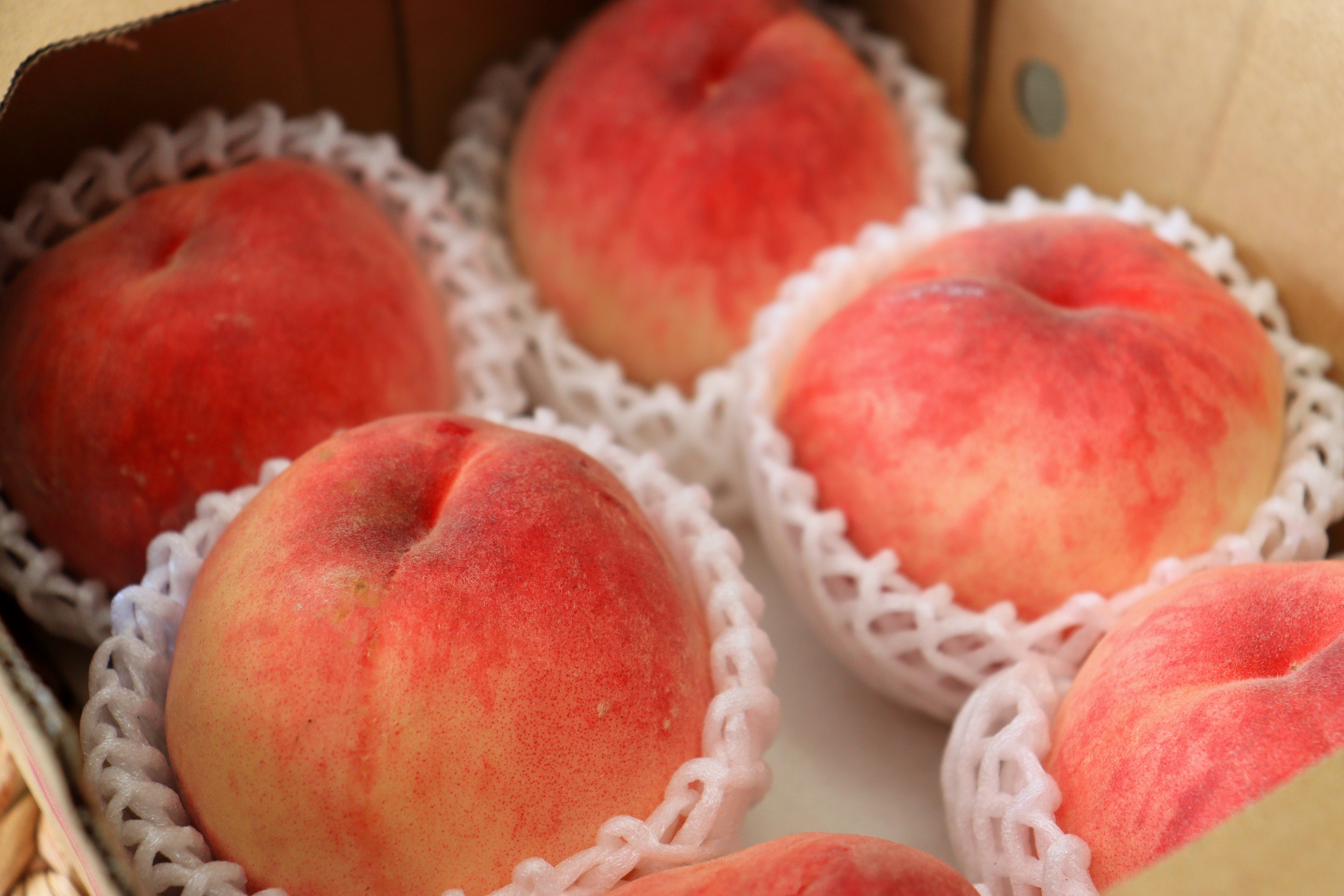 Yamanashi Premium Peach (Pink/Purple Box)