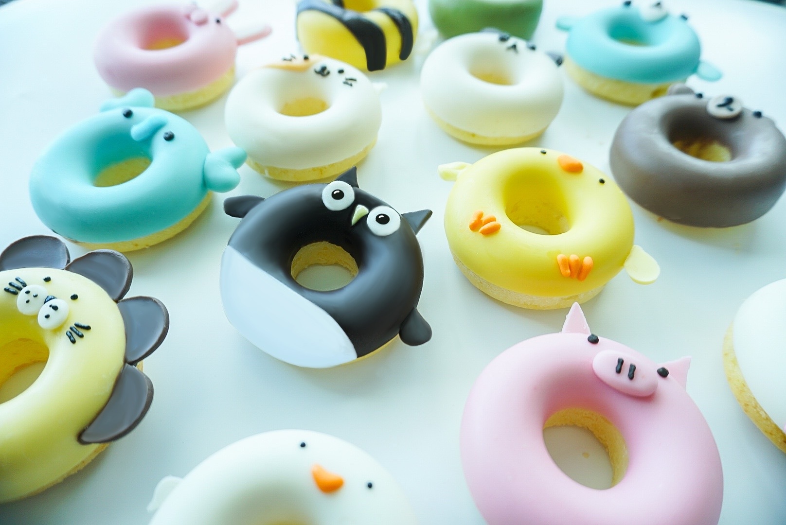 動物造型甜甜圈