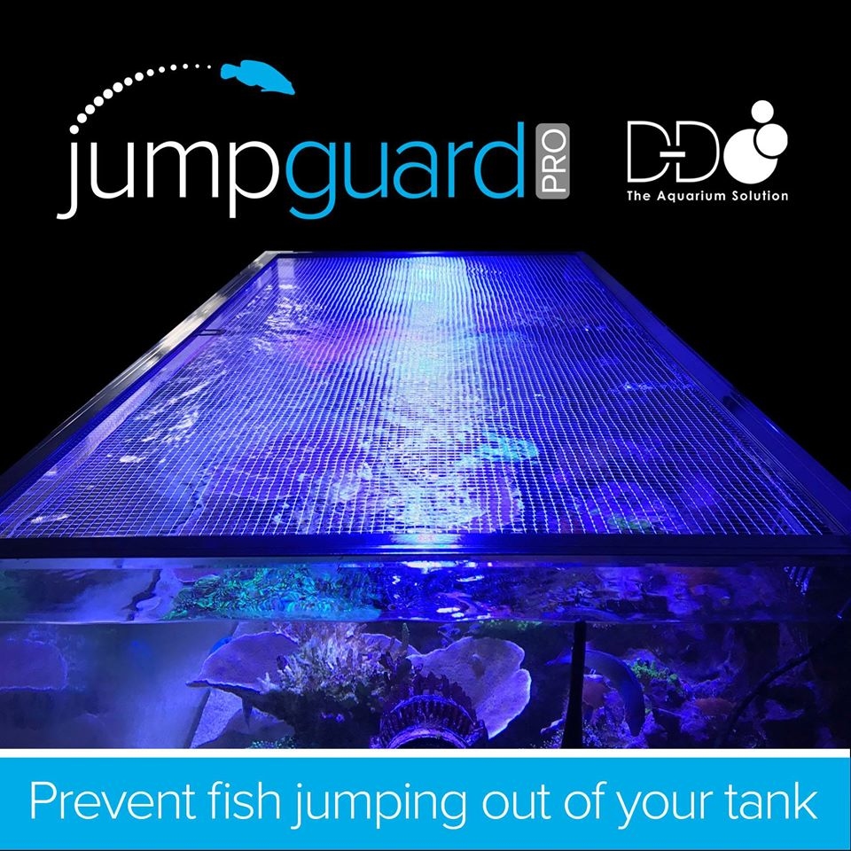 dd jumpguard
