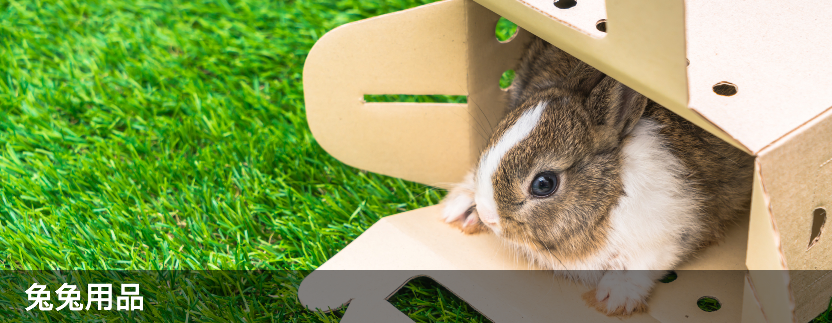 穴兔寵物酒店,moonrabbithotel,兔仔用品,兔糧,龍貓用品,龍貓糧,倉鼠用品,倉鼠糧,天竺鼠用品,天竺鼠糧,寵物用品,提摩西牧草,oxbow,momi,Timothyhay,rabbit,hamster,chinchilla,寵物食品