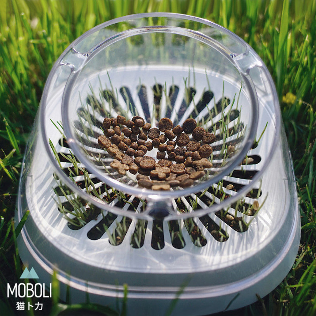 【限定75折】MOBOLI 秘密森林貓草碗