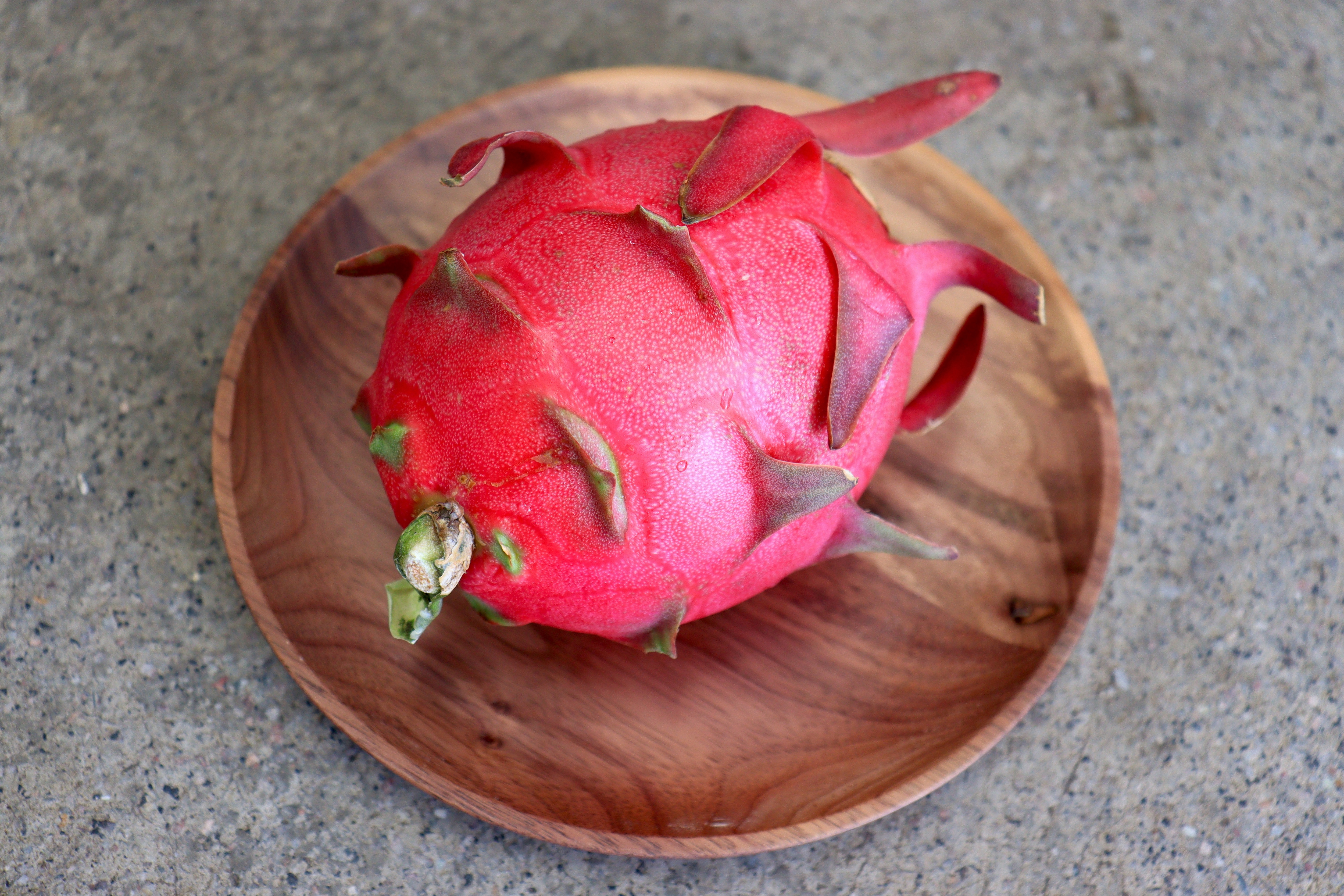 台灣紅肉火龍果