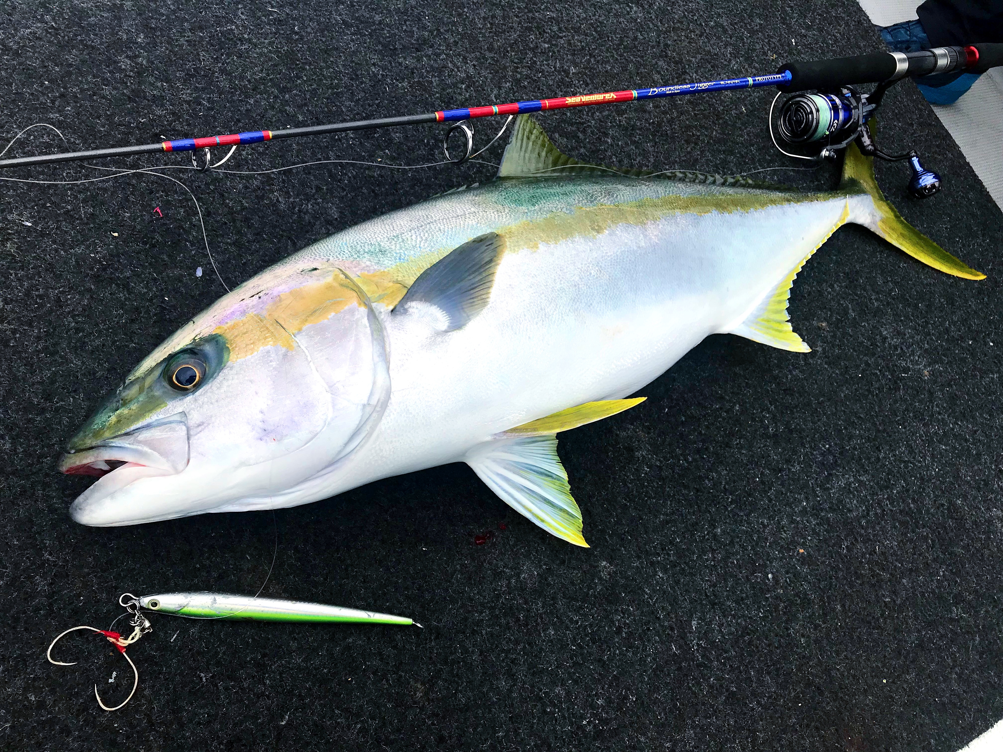 MG-CRAFT SKILL JIG L JIGGING LURE