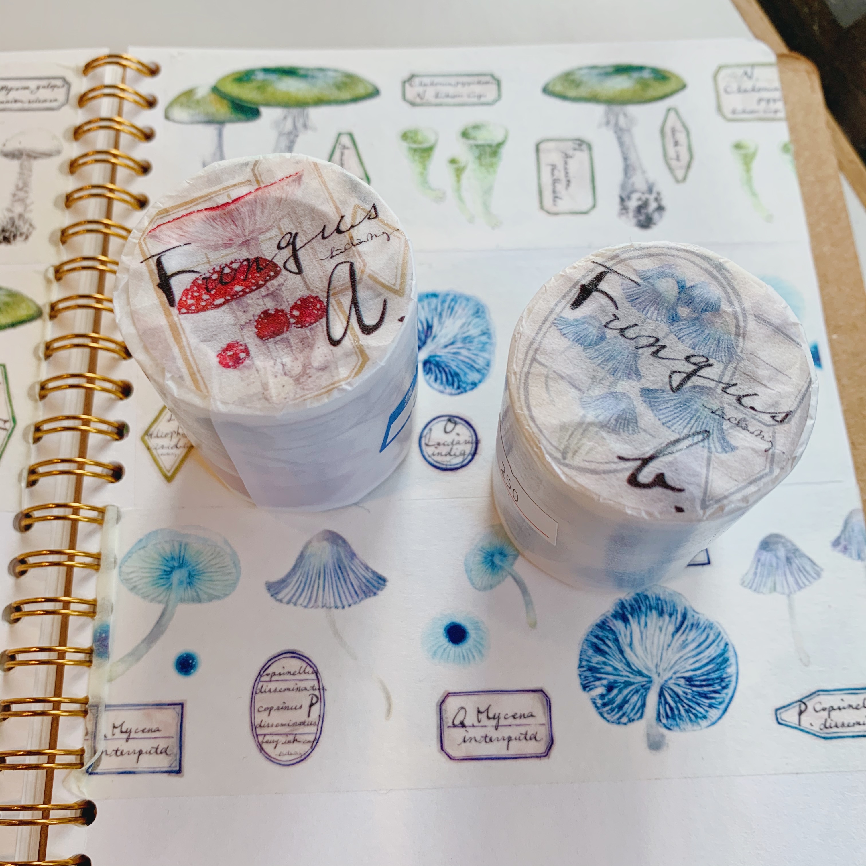 吉 菌菇紙膠帶（兩款）