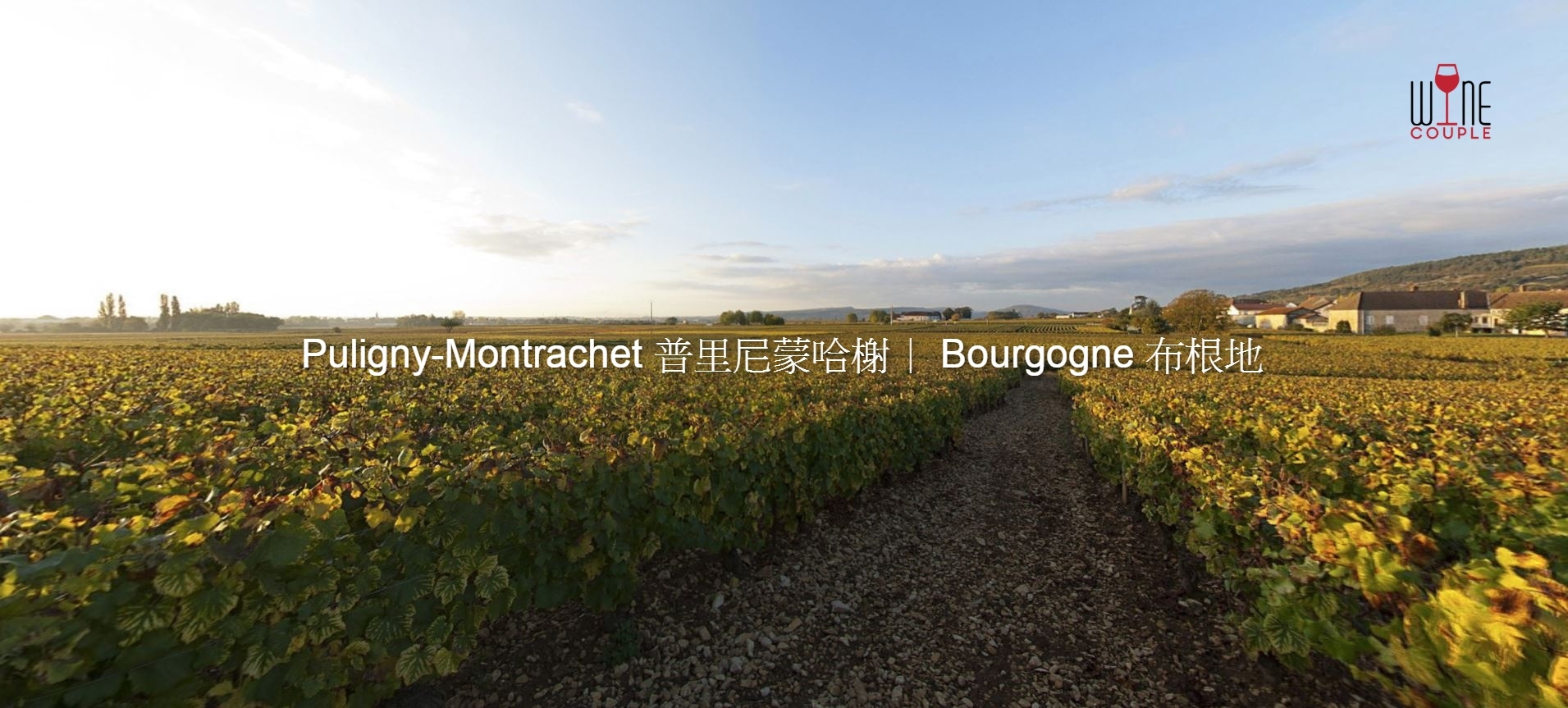 Puligny-Montrachet