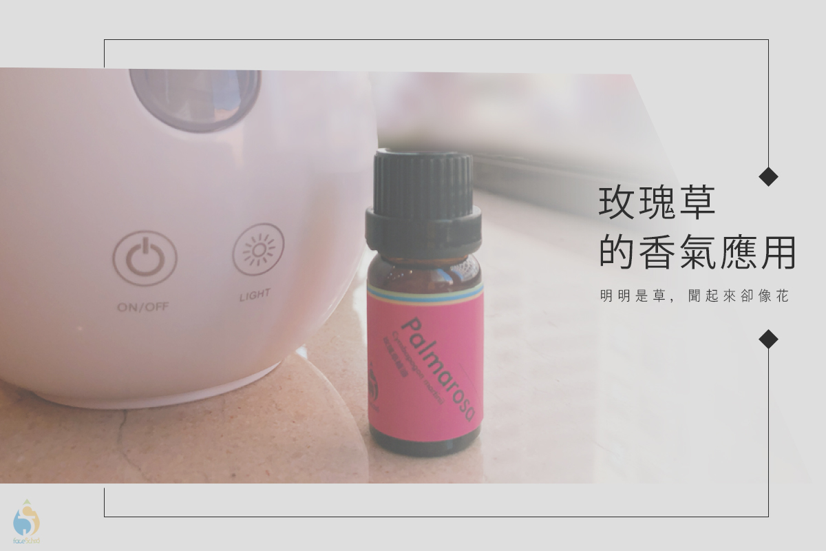 玫瑰草精油的香氧應用