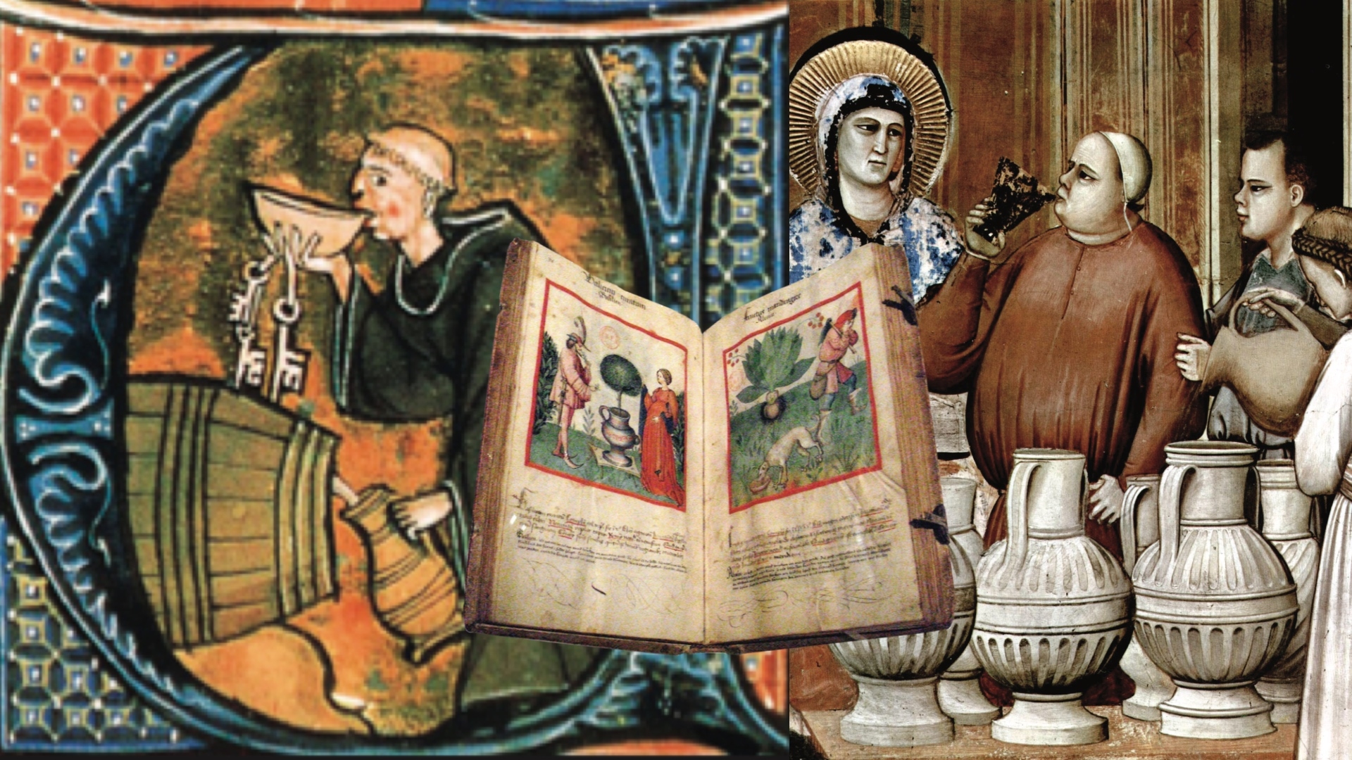 wine book and history