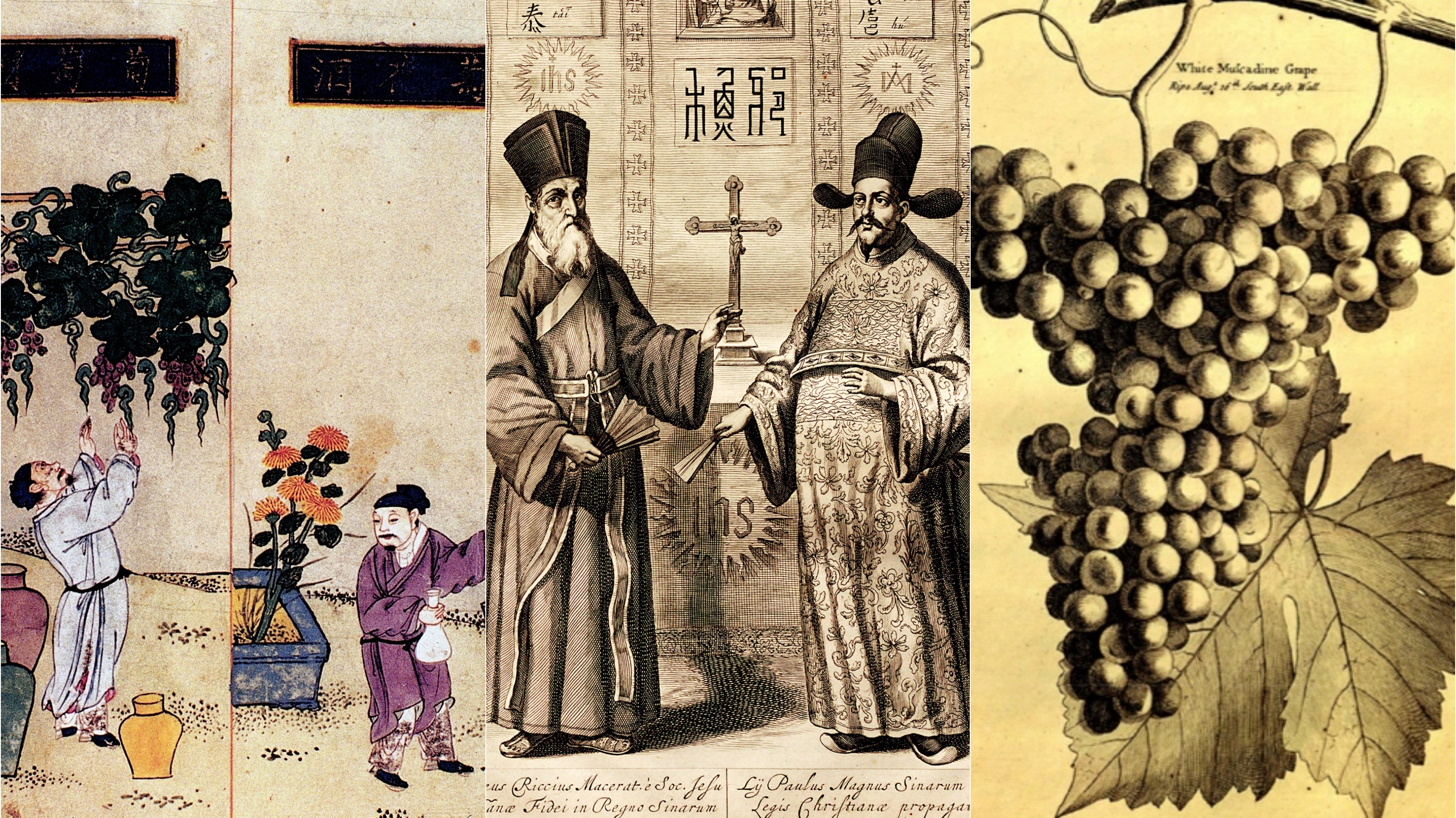 wine history in China