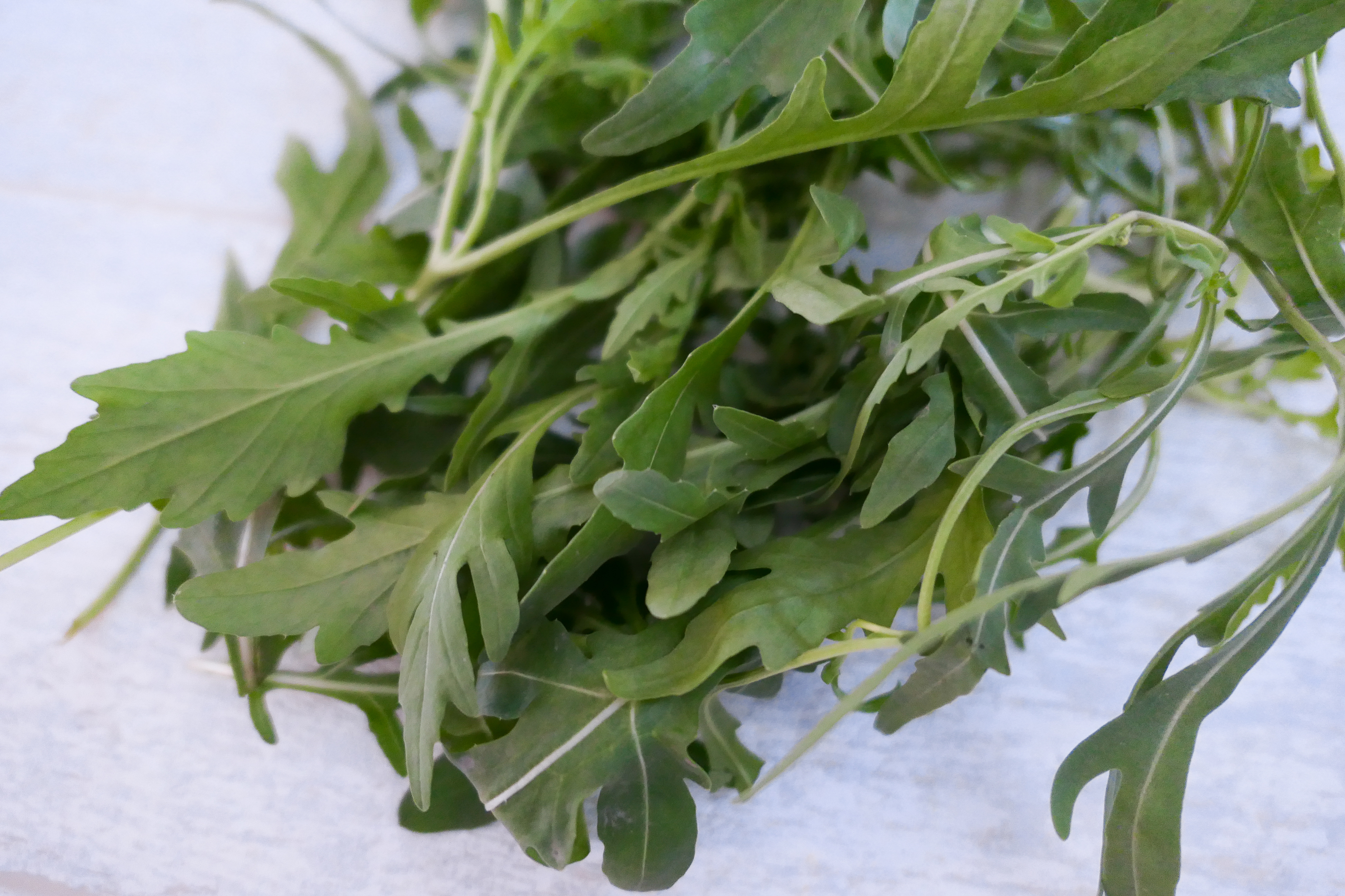 芝麻葉_迷你份量30g