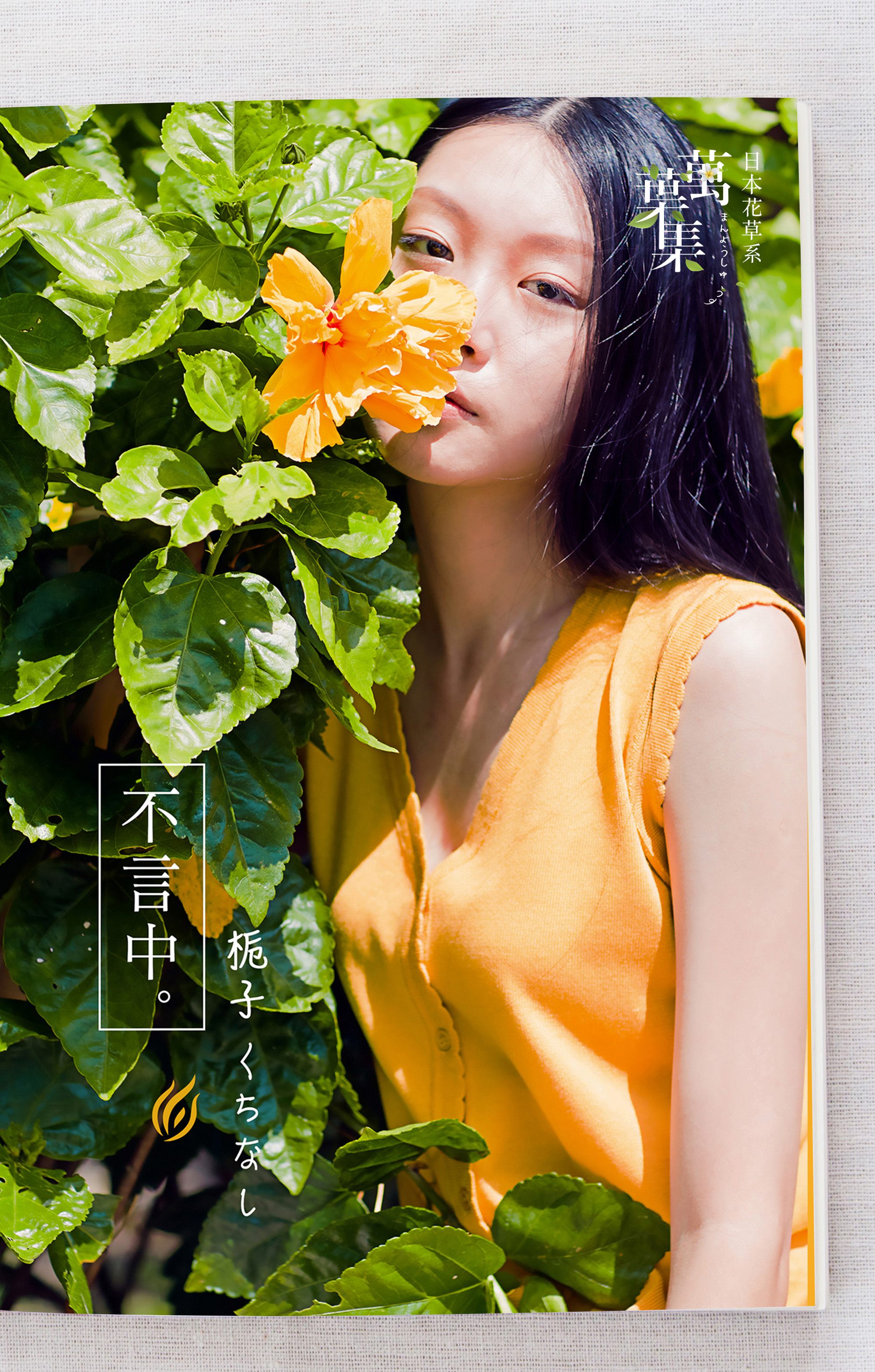 日本色彩物語，萬葉集，除臭襪推薦