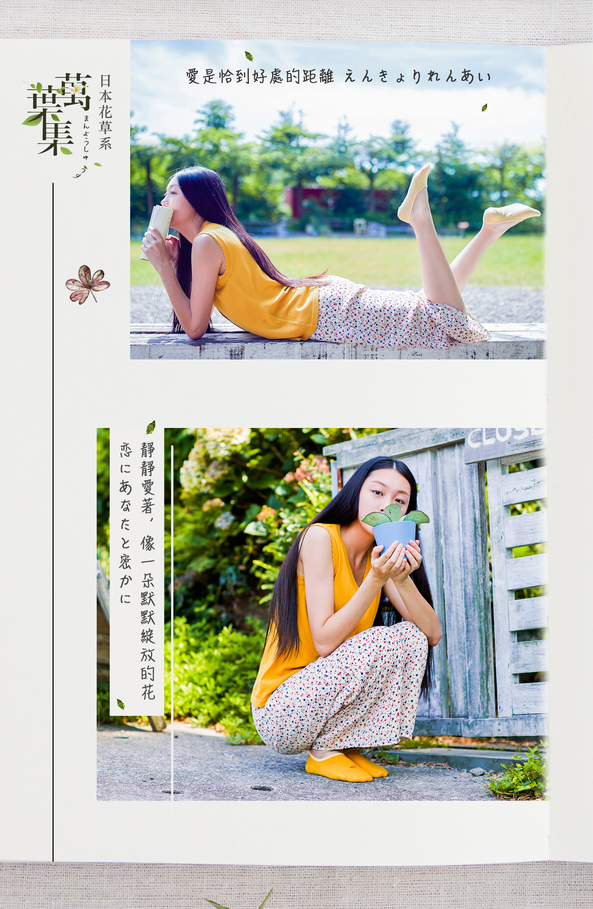 靜靜愛著,像一朵默默綻放的花