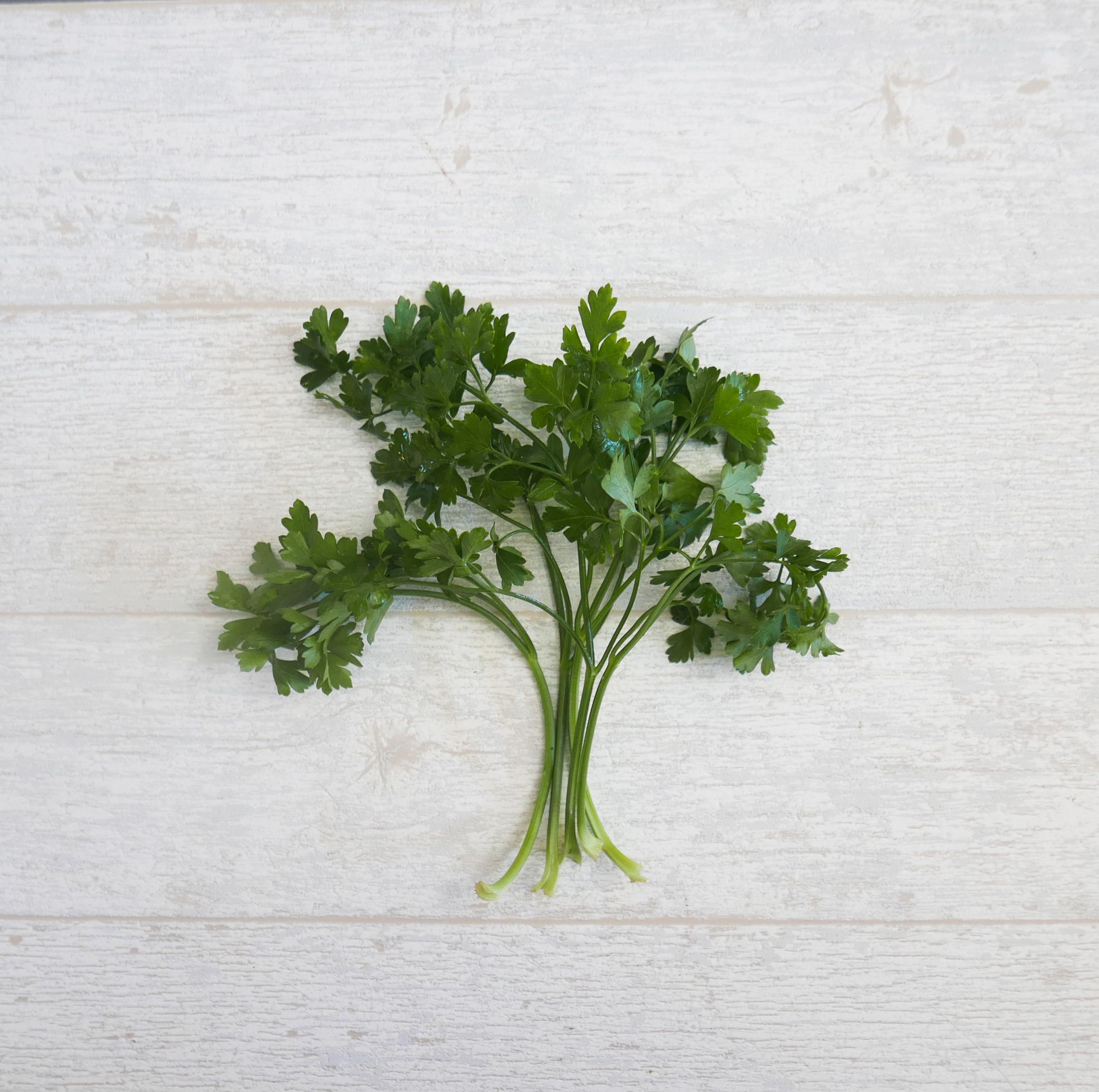 平葉巴西里_迷你份量20g