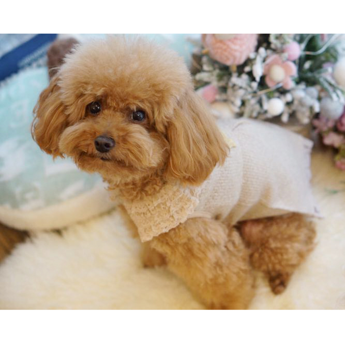 PomPreece【Pomp Gold】日式狗狗衣服 - 啡色，童話連身裙 [3尺寸]